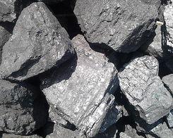 优质煤炭近期煤价