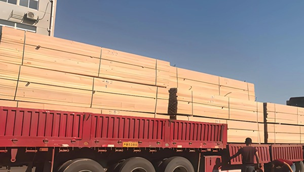 木材运输.jpg